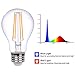 HOLA Plant Light Bulb, Grow Lights for Indoor Plants Full Spectrum, 60W Equivalent LED Grow Light Bulb for DIY Horticulture, Hydroponics, Greenhouse, Garden, Grow Healthier, 4 Pack (6W E26)