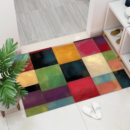 Paillasson rétro piège à saletés tapis intérieur lavable - 3