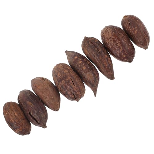 CIYODO Parrot Chewing Dried Fruit Ornaments Foraging Toys for Parrots Bird Toys for Parakeets Natural Materials