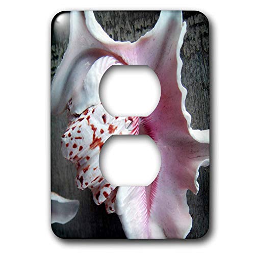 Coque de protection pour 2 prises de courant motif rose marron 3dRose lsp_36930_6 plaque murale