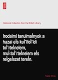 Irodalmi tanulmaÃnyok a hazai eÃs kuÃËlfoÃËldi toÃËrteÃnelem, muùtoÃËrteÃnelem eÃs reÃgeÃszet tereÃn.