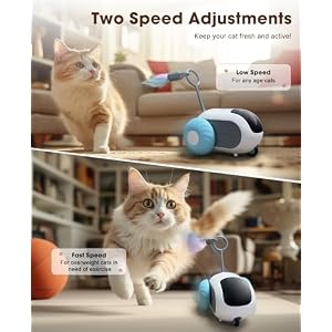 Cat Toys for Indoor Cats, Smart Interactive Cat Toy with 2-Speed Adjustment, Remote Control & USB Rechargeable Automatic Cat Exercise Toys for Bored Indoor Adult Cats Kittens (Blue) Cat Toys for Indoor Cats, Smart Interactive Cat Toy with 2-Speed Adjustment, Remote Control & USB Rechargeable Automatic Cat Exercise Toys for Bored Indoor Adult Cats Kittens (Blue)