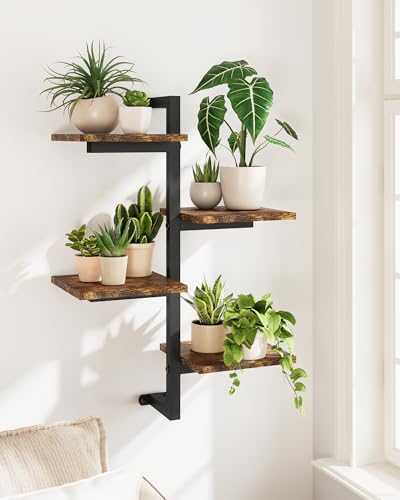 Occolia Studio Window Plant Shelves 4-Tier Rotating Plant Stand Wall
