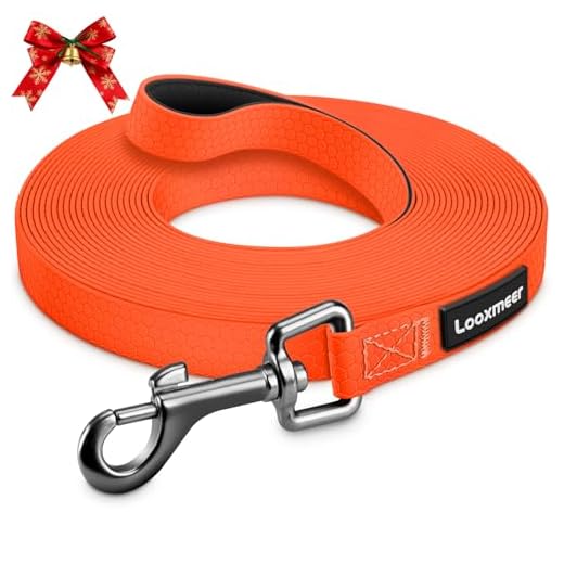 Looxmeer Schleppleine für Hunde, 3m /5m /10m /15m /20m /25m /30m Robuste Hundeleine Trainingsleine mit Aufbewahrungsbeutel, Handschlaufe und D-Karabiner