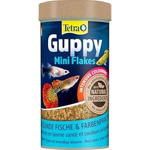 Tetra Guppy Mini Flakes – Fischfutter für alle Guppys, feines Flockenfutter für eine ausgewogene und nährstoffreiche Ernährung, 250 ml Dose