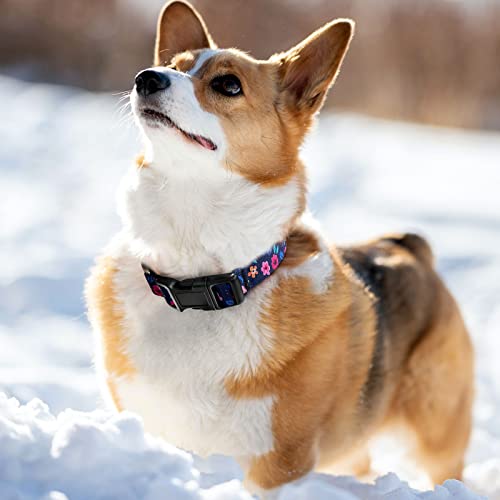 Martingale Collar for Dogs, Adjustable Soft Nylon Dog Collars with Special Design Cute Patterns for Small Medium Large Dog Martingale Collar for Dogs, Adjustable Soft Nylon Dog Collars with Special Design Cute Patterns for Small Medium Large Dog