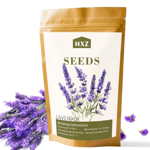 10,010 English Lavender Seeds for Planting Outdoor, Perennial Flower Seed & Wildflower Seeds for Fragrant, Lavender Plants Live