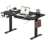 FLEXISPOT 昇降デスク ローテーブル EF1 T 高さ48-72cm テレワーク スタンディングデスク ㍶デスク 高さ調整 収納フック付き 高さメモリー 障害物検知 ゲーミングデスク (足（黒）＋天板（黒)