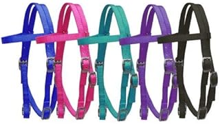 Showman Pony Size Premium Nylon Browband Headstall! New Horse TACK! (Teal)