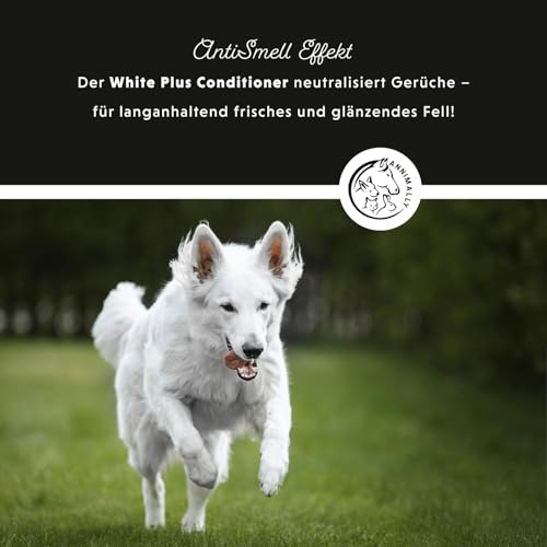 Annimally White Plus Conditioner - Natürliche FellspüLung mit Sheabutter für strahlend weißes Fell, ph-neutrale, feuchtigkeitsspendende Pflege für weißes Fell ohne Bleichmittel & Parfüm - 500 ml