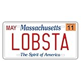 Replica License Plate of US States, Embossed Novelty Metal Number Tags, Prop Car Registration Plates, 12x6 Inches…