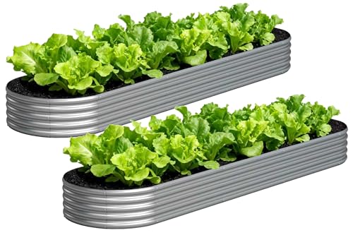 Image of Galvanized Raised Garden Bed Outdoor, 12x2x1ft(2Pack) Metal Heavy Duty Planter Boxes for Gardening, Easy Assemble Bottomless Small Oval Plant Container Kit for Vegetable, Flower, Fruit, Silver