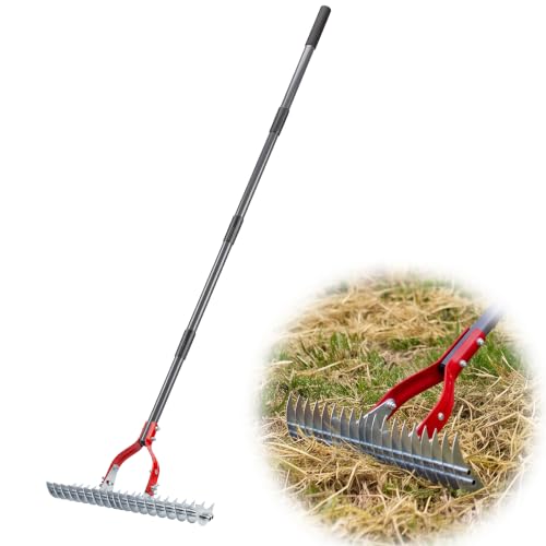 Suchtale Thatch Rake, 15" Adjustable Lawn Dethatcher