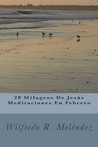 28 Milagros De Jesús Meditaciones En Febrero: Devocional (Spanish Edition)