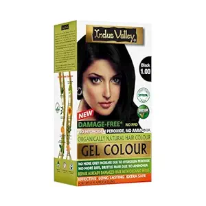 INDUS VALLEY Damage Free Natural Gel Hair Colour for Women | Ammonia & PPD Free Organic Hair Colour with 100% Grey Coverage, Long Lasting Conditioning Hair Color | Black 1.00-220 ml