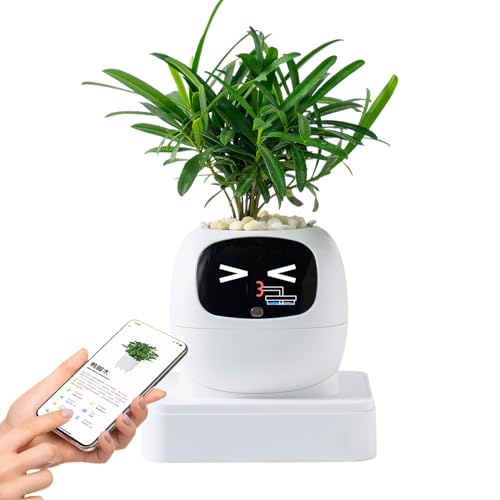 Jardinier intelligent et pot d'expressions multiples pour décoration de salon