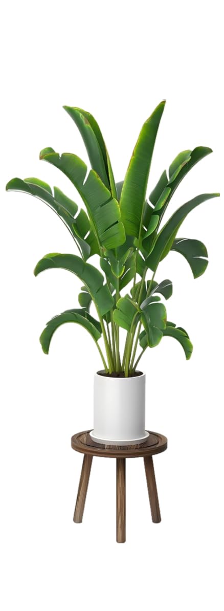 1-Pack Wood Plant Stands Indoor, Single Plant Stand for 6-12 Inch Pots, Mid-Century Modern Plant Stool, Tall Plant Stand for Large Plants Perfect Fit for Living Room (Heavy burnt color, L-1PACK) — image 1