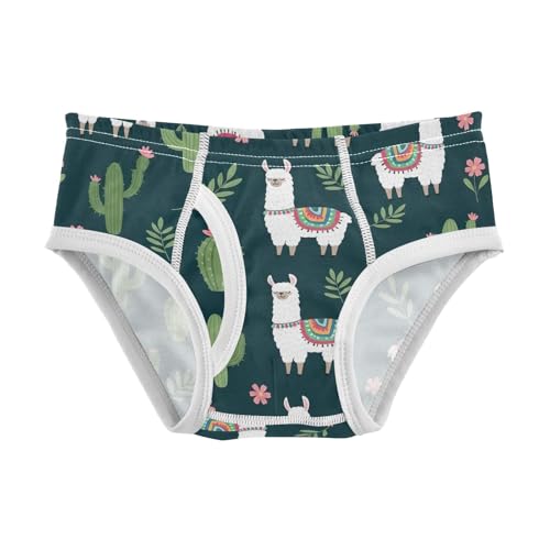 CHIFIGNO Cute Llamas Cactus Green Underwear for Boys Soft Cotton Briefs Little Boy Printed Underwear Briefs