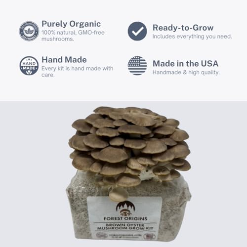 Forest Origins Brown Oyster Mushroom Grow Kit, Beginner Friendly & Easy to Use, Grows in 10 Days | Handmade in California, USA | Top Gardening Gift, Holiday Gift & Unique Gift