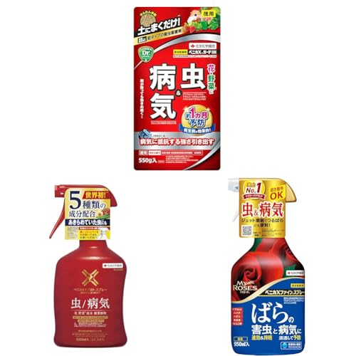 yZbgzZFw| EEۍ xjJXK[h  550g     aC  + EEۍ xjJXlNXgXv[ 1000ml 5  + EEۍ xjJXt@CXv[ 950ml KN