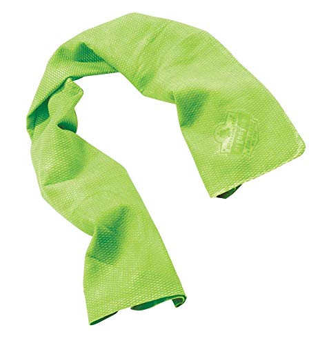 Ergodyne Chill-Its 6602 Cooling Towel, Blue, One Size