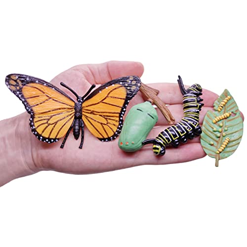 Montessori Life Cycle Animal Figures with Flash Cards, Realistic Animal Plant - Bild 66 von 71