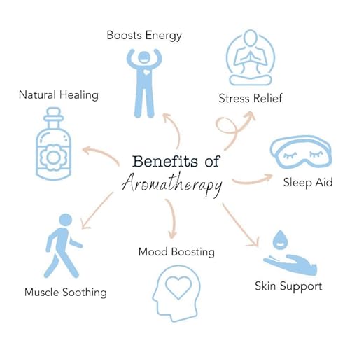 Corinne Taylor | Organic Dry Shampoo Powder | Grapefruit, Palmarosa & Clary Sage | Hydrating & Volumising | Aerosol Free | Natural & Vegan | 85g - Image 8