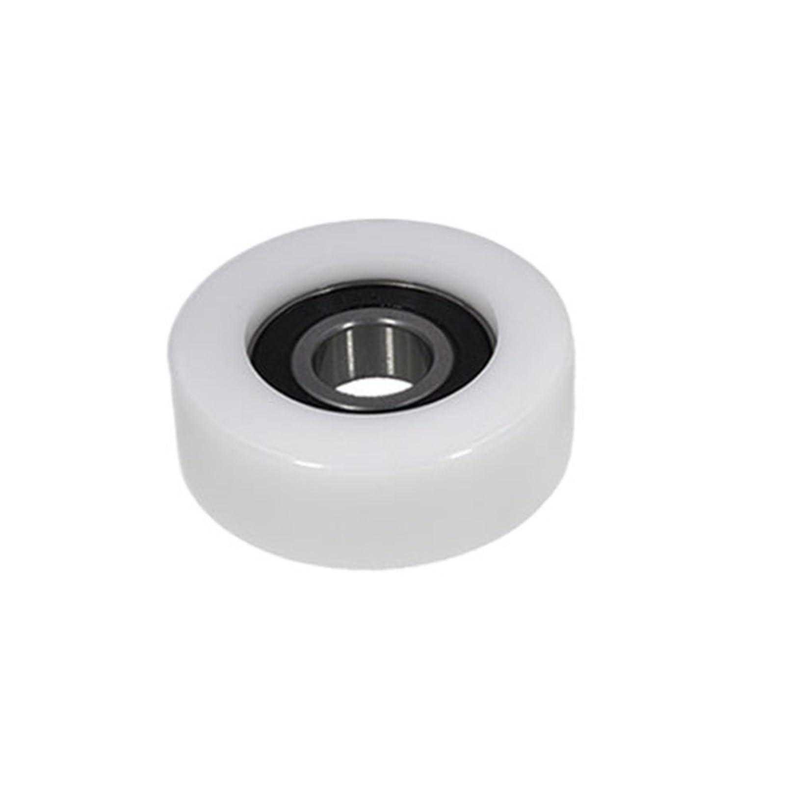 Sfjsfimq One Color Pom Plastic Coated Bearing Bs620470-25 High Wear-Resistant Nylon Pulley