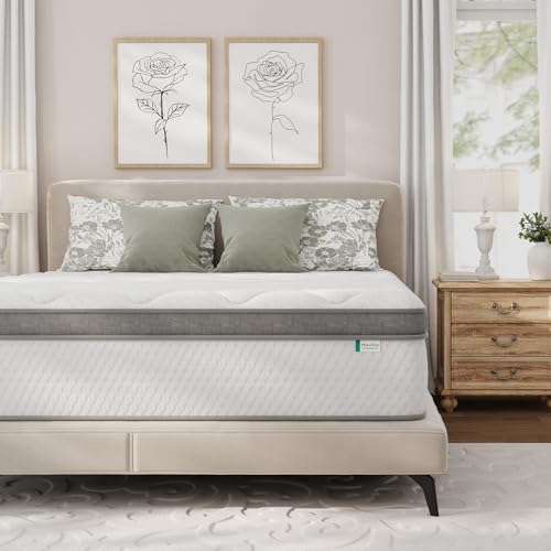 Image of Novilla Hybrid Mattress Queen Size, 14 Inch Plush Mattress in a Box|Back Support & Pressure Relief, Supportive Comfort Foam, Pocketed Innersprings, CertiPUR-US Certified, Guest & Dorm