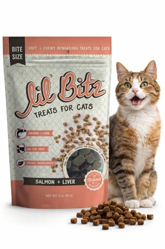 Lil' Bitz Soft & Chewy Salmon Treats