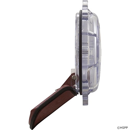 Amazon.com: Zodiac Jandy Pro Series Flapper Assembly, 2.5
