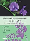 Botanische Grundkenntnisse auf einen Blick: 40 mitteleuropäische Pflanzenfamilien - Yann Fragnière, Nicolas Ruch, Evelyne Kozlowski, Gregor Kozlowski 