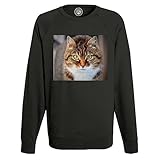  Fabulous Sweatshirt Homme Noir Magnifique Chat Tigre a Poil Long Gros Plan Yeux Vert