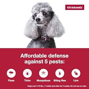K9 Advantix Flea Tick  Mosquito Prevention for Dogs 410 Lbs | Flea Drops for Small Dogs | Apply Monthly | 2 Treatments  Cucciolini Doodles K9 advantix flea tick  mosquito prevention for dogs 4 10 lbs | flea drops for small dogs | apply monthly | 2 treatments   cucciolini doodles