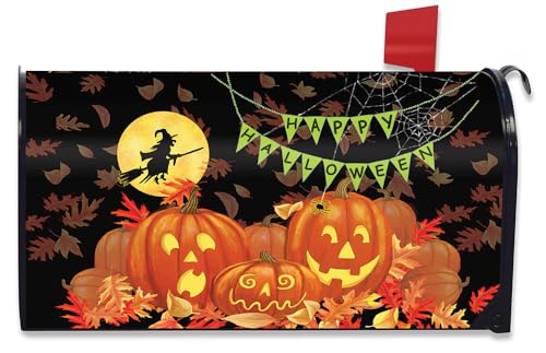 Briarwood Lane Halloween Haunts Ghost Mailbox Cover