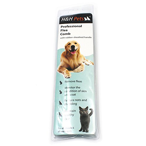 https://m.media-amazon.com/images/I/41vcb3HiQ0L._SL500_.jpg