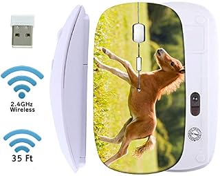 MSD Wireless Mouse 2.4G Travel Mice with USB Receiver, Noiseless and Silent Click