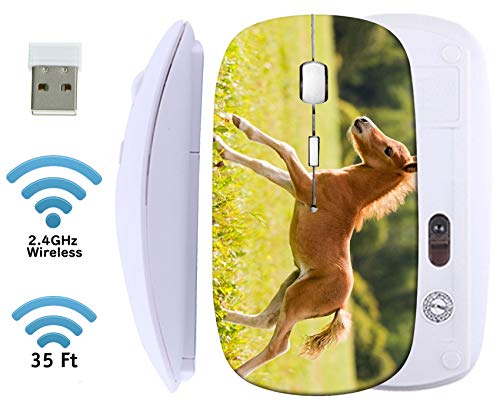 MSD Wireless Mouse 2.4G Travel Mice with USB Receiver, Noiseless and Silent Click
