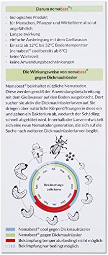 nemabest® cool HB+SF Nematoden zur Bekämpfung des Dickmaulrüsslers - 6 Mio. für 12m² – Ansicht 3