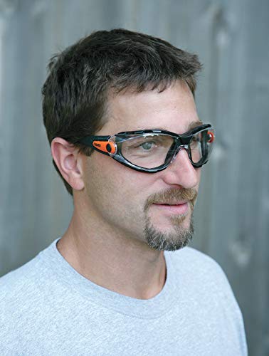 Elvex Clear Bifocal Reading Glasses, Anti-Fog