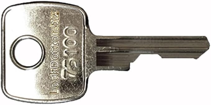 Replacement 75100 Electrical Switch Key | Compatible with Lifts & Escalators, Fire & Alarm Panels, Industrial Machinery, Hoistway Access, Flipsky V2.0 Scooters & E-Bikes, Office Furniture & More