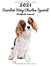 2021 Cavalier King Charles Spaniel Planificador Semanal: 123 Páginas | Tamaño A4 | Calendario | 14 Meses | 1 Semana en 2 Páginas | Agenda Semana Vista | En español | Perro