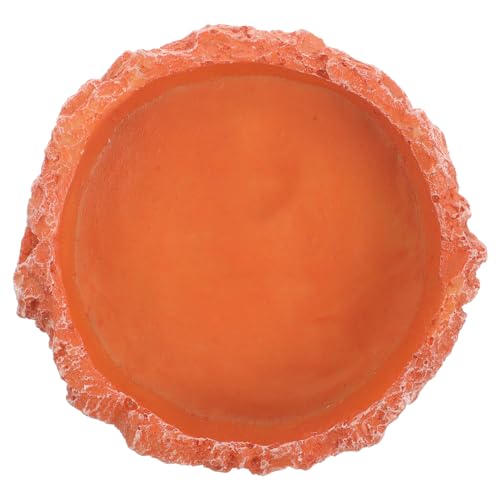 DINHEAROM ঒ޗpvfBbV yʎ aM M p 炩\ʂŉa̕ߊle ybg