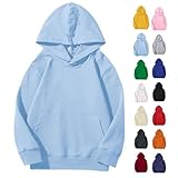 Boys Hoodies Size 10 12 Kids Soft Brushed Fleece Casual Basic Pullover Long Sleeve Hooded Sweatshirt Hoodie For Boy Girl Girls Sweatshirts Size 10-12 Sky Blue 11-12 Years