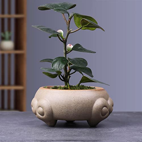 Pot pour plantes d'intérieur en céramique zen B - 4