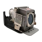 Advanced Lamps™ Lamp & Housing for The Viewsonic PJ503D Projector
