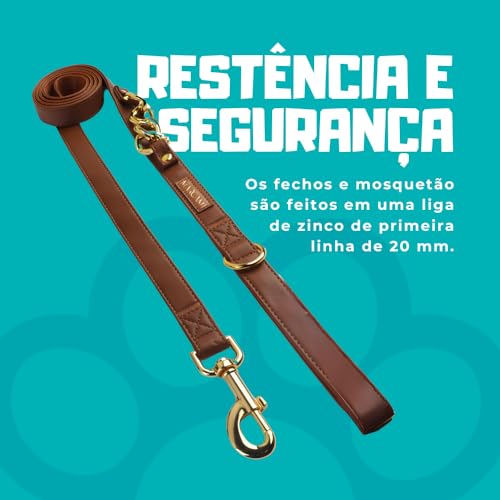 Guia e Peitoral para Cachorros M - Ajuste Regulável – Marrom com Correntes Douradas | Premium MARCAM