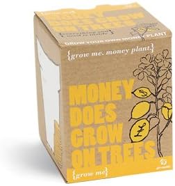 Grow Me. Money Plants