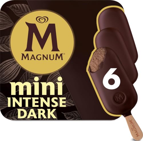 Helado mini chocolate negro 70% 6 unidades