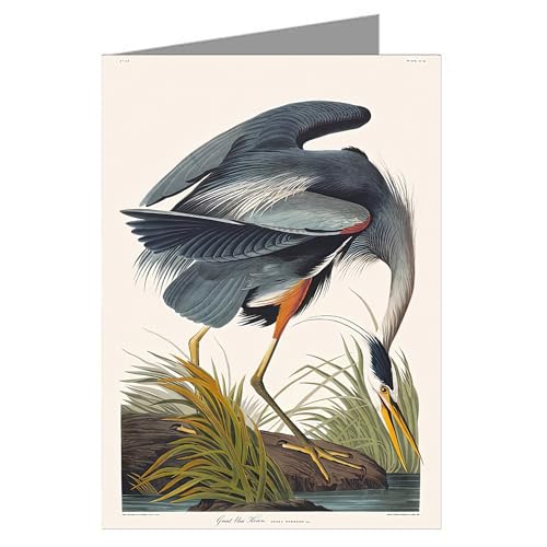 Image of Epic Greeting Cards Twelve Assorted Notecards Of John James Audubon Celebrated Illustrations Of Audubon's Birds Of North America Featuring Series I
